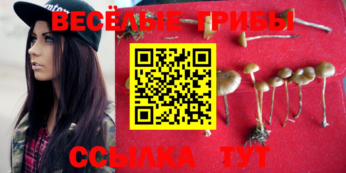 Галлюциногенные грибы Psilocybe  Вход с VPN  Миасс 
